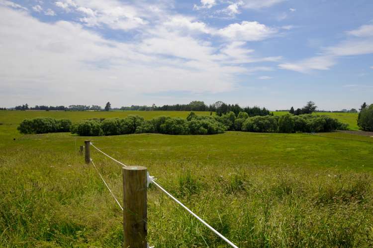 92 Maytown Road Waimate_16