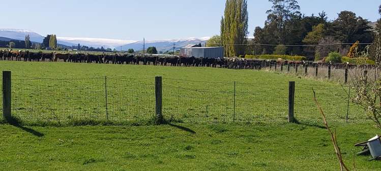 10 Freshford Plains Station Road Waikaia_25