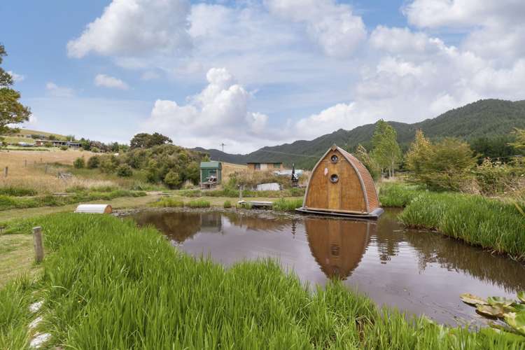 958 Whangaripo Valley Road Whangaripo_13