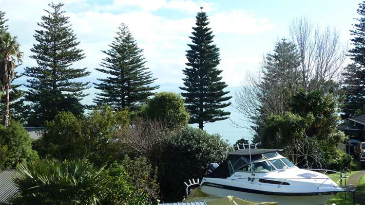 33 Patui Avenue Ngarimu Bay_30