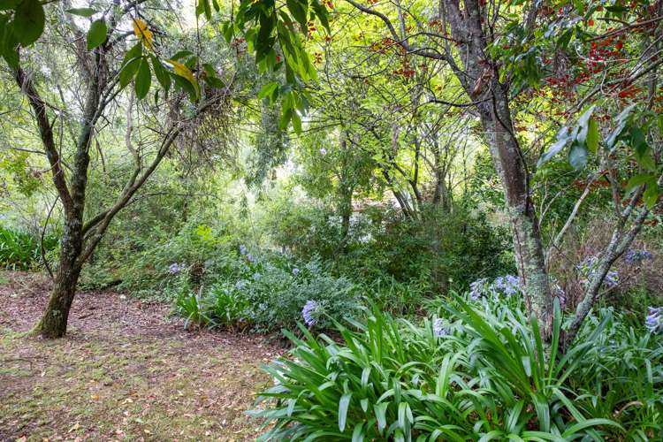 43 Reeve Drive Havelock North_5