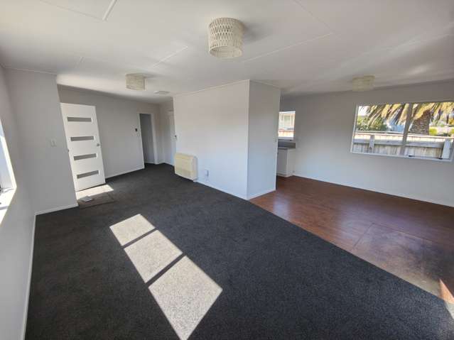 147 East Street Greytown_4