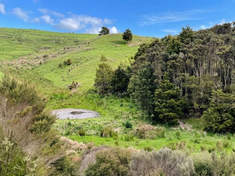 583 Lusk Road Ruawai_29