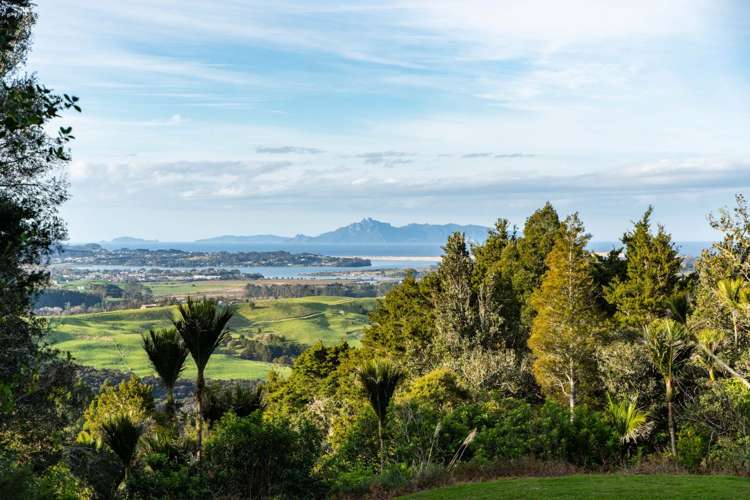 Lots 1 & 2 Carters Road West Mangawhai_6