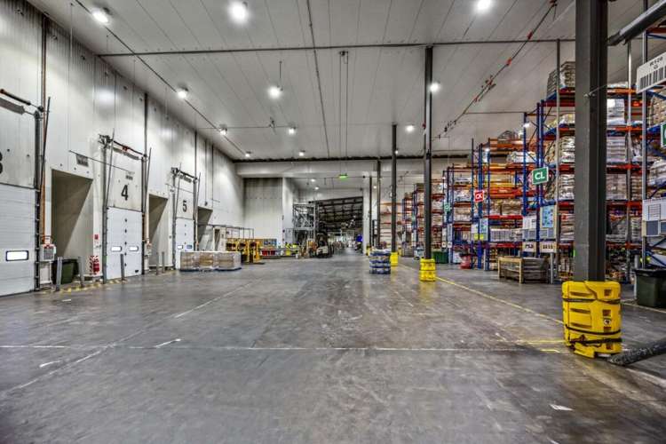 17 Nesdale Avenue Wiri_11