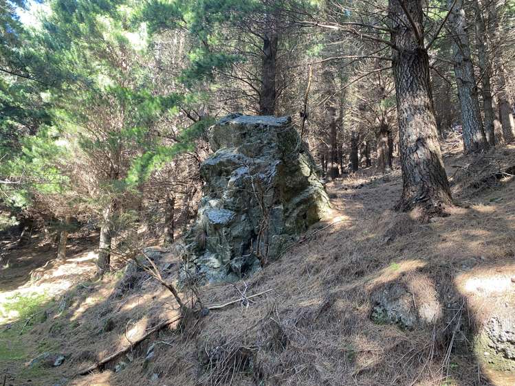 245 Sladdens Bush Road Oxford_14