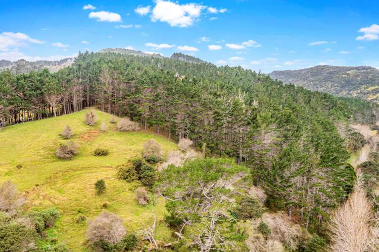 Lot 3 DP194797 Glorit_4