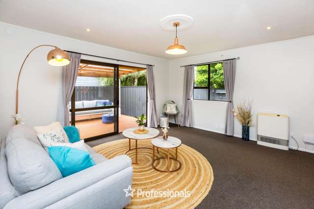 12A Beryl Grove Birchville_4