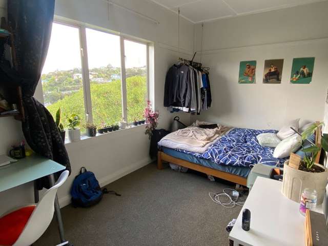 6 Semeloff Terrace Aro Valley_4