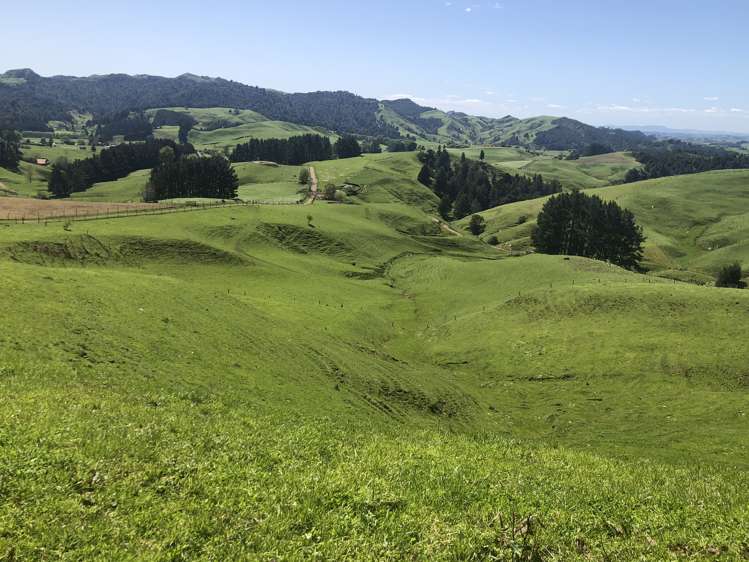 1026 Limeworks Loop Road Karamu_28