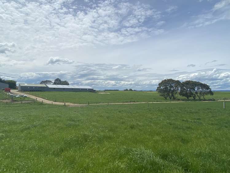 491 Waituna Gorge Road Wyndham Surrounds_10