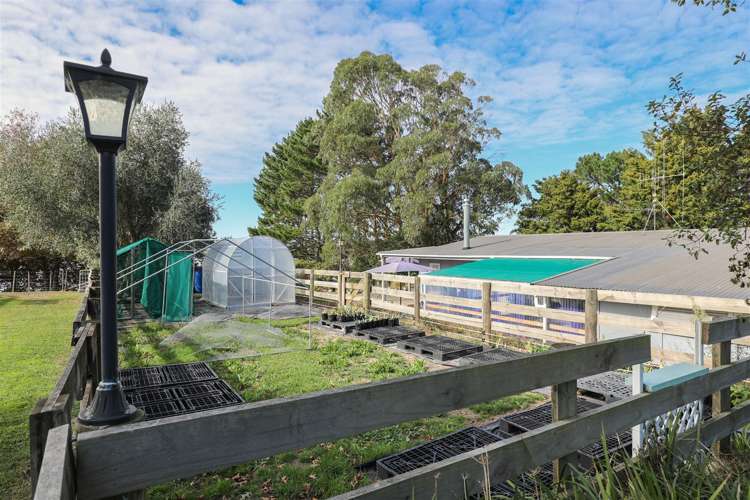 689 Glen Murray Road Rangiriri_34