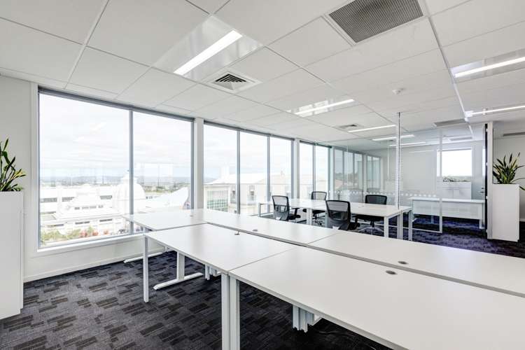 131 New North Road Eden Terrace_10