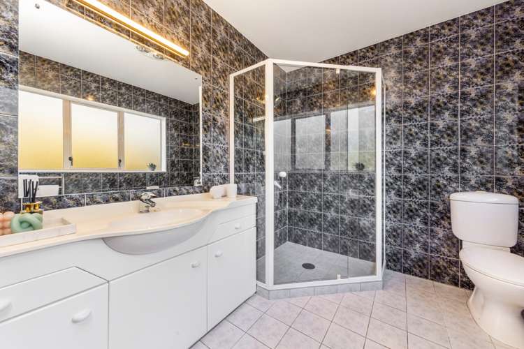 49 Palomino Drive Henderson_10