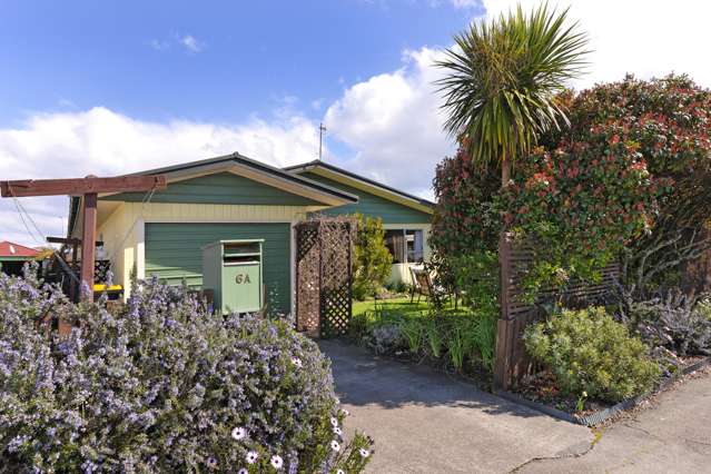 1/6 Homer Street Stoke_1