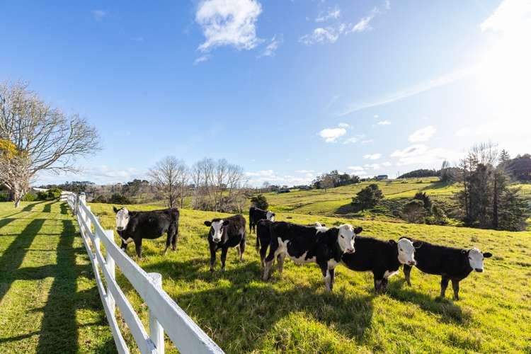 303 Port Albert Road Wellsford_25