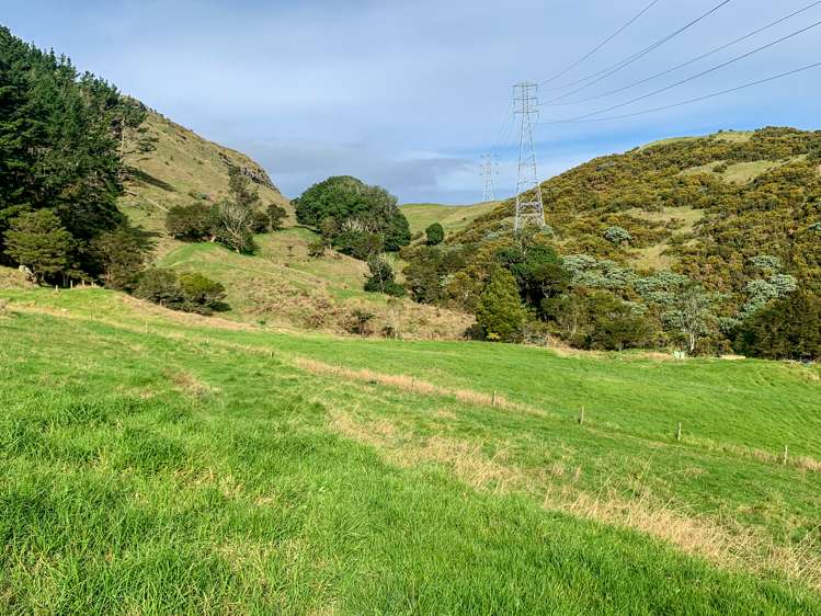 88 Morrison Road Paeroa_11