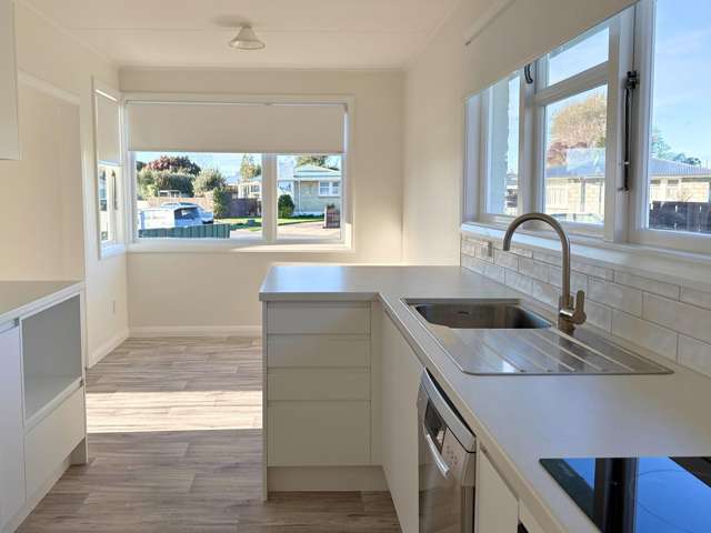 18 Leefield Street Blenheim_3