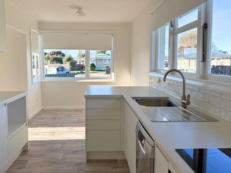 18 Leefield Street Blenheim_3