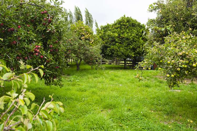 35 Royd Road West Makauri_17