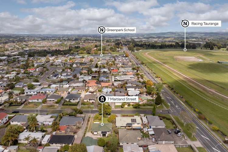 7 Maitland Street Greerton_26