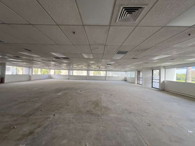 Ground/25 Springs Road East Tamaki_1