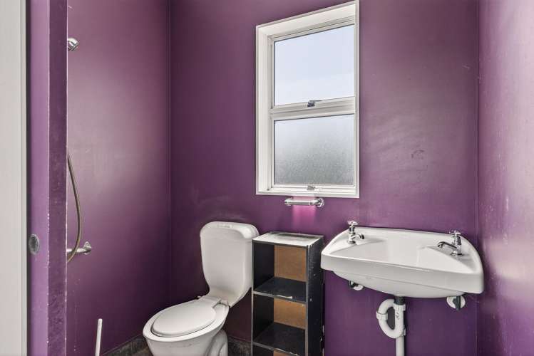 20 Willow Street Mangapapa_12