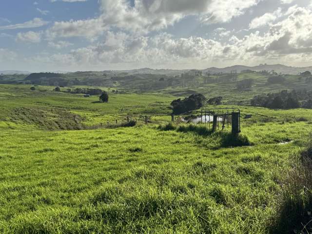 Hill Road opportunity- 101 ha of easy contour