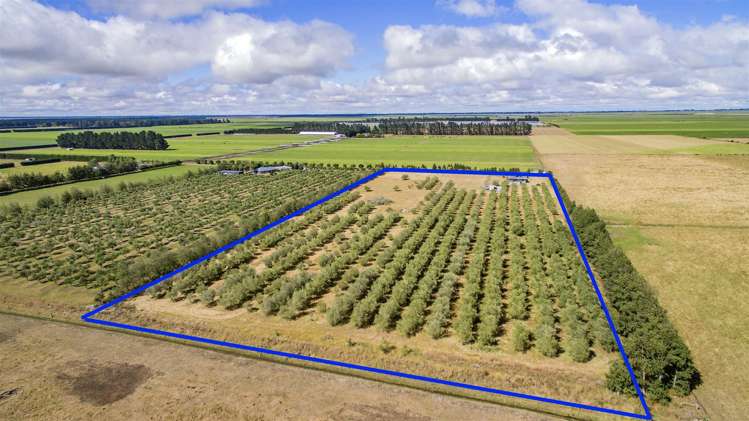 661 Wolffs Road West Eyreton_18