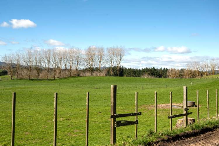 145 Totara Road Ngakuru_17