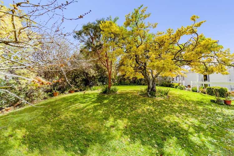 23 Domain Road Waipawa_19