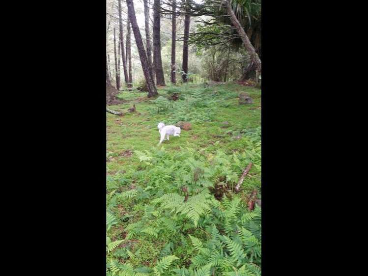 115 Waiare Road Okaihau_10