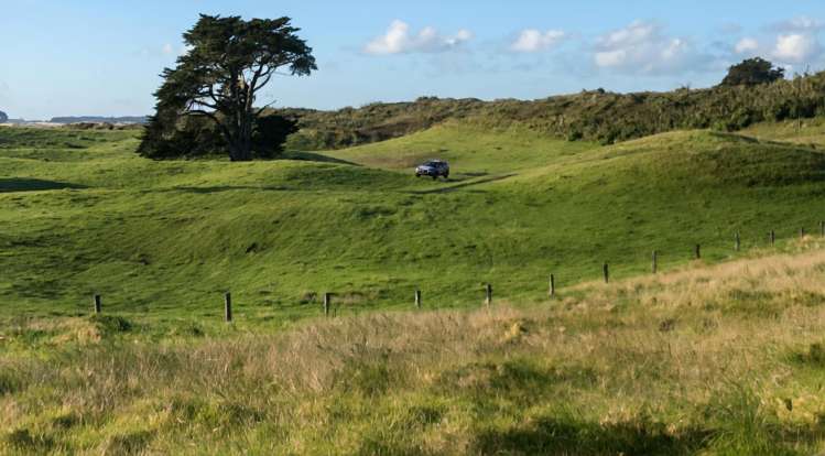 lot 3/612 Inland Road Tokerau Beach_29