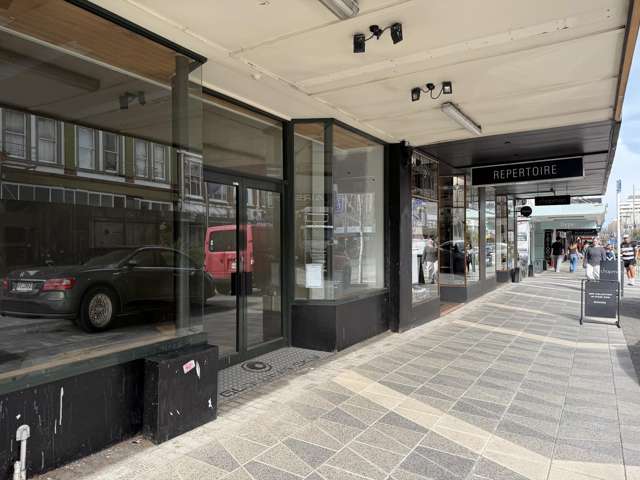 338 George Street Dunedin Central_1