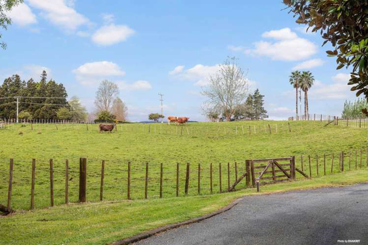 703 Runciman Road Pukekohe East_27