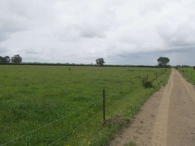 139 Tower Road Matamata_4