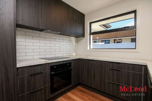 54 Cameron Street Ashburton_4