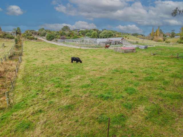 38 Blue Stone Drive Waiareka Junction_2