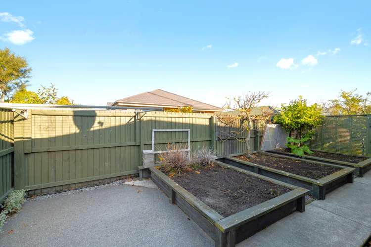 13 Selwyn Street Somerfield_5