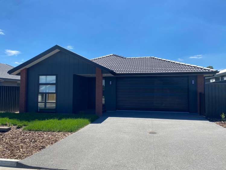12 Pioneer Cres Omokoroa_17