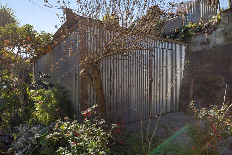 1 Brookfield Street Hamilton East_4