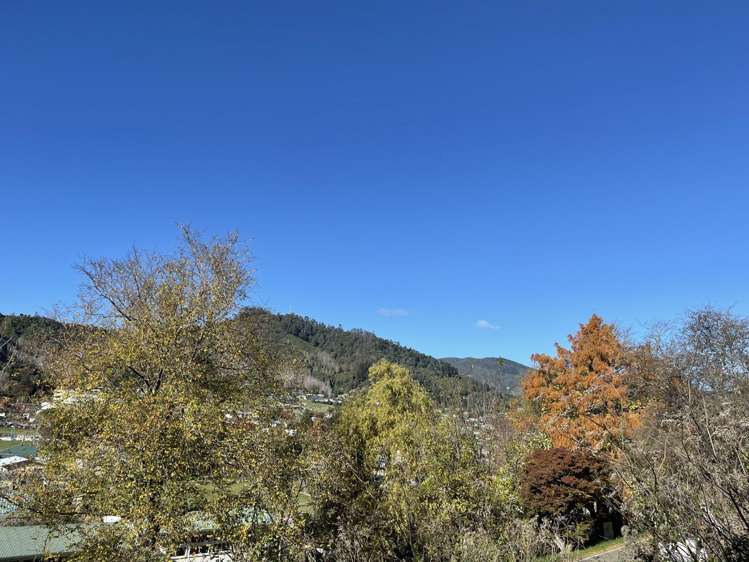 211 Saint Vincent Street Toi Toi_9