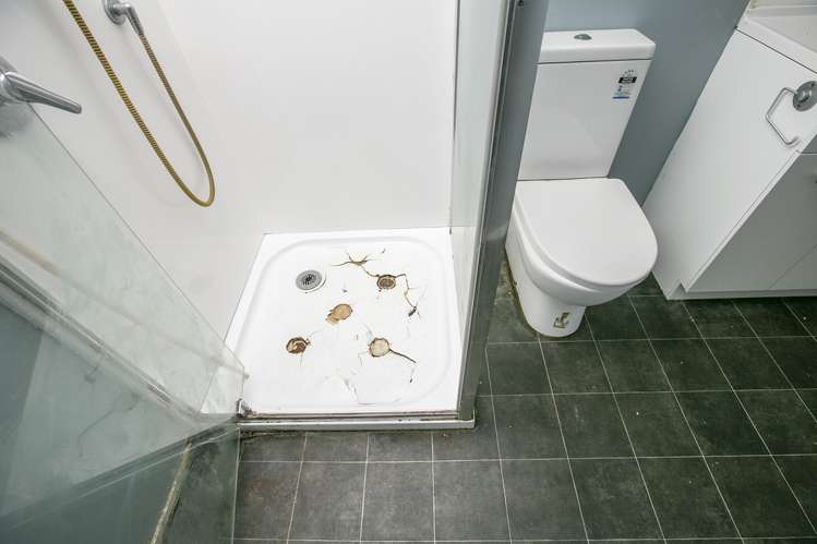 135 Pembroke Street Carterton_14