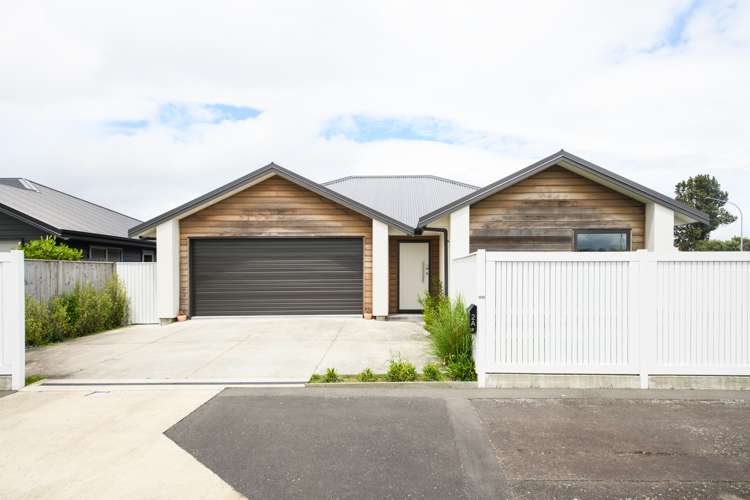 2a Massey Street Palmerston North Central_25