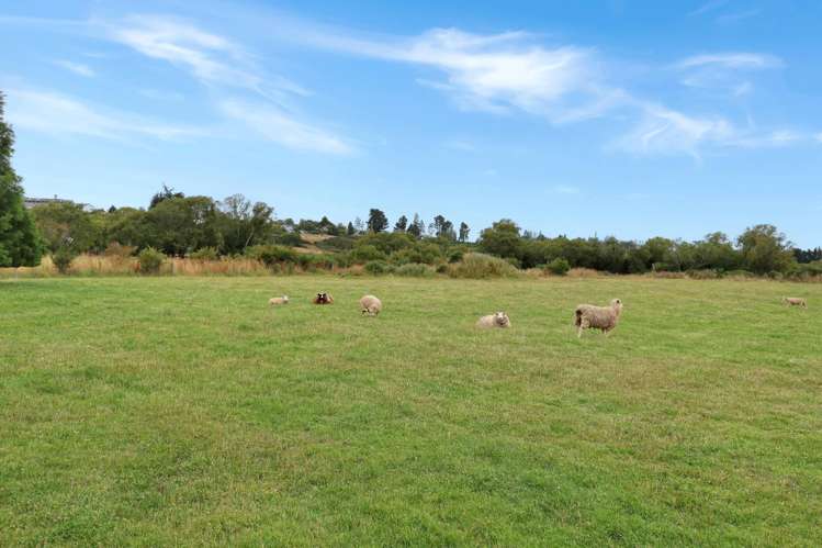 15 Sinclair Avenue Nightcaps_17