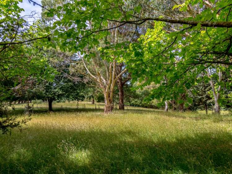 22 Lees Pakaraka Road Masterton_17