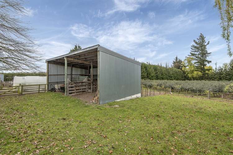 82 Boundary Road Ashley_14