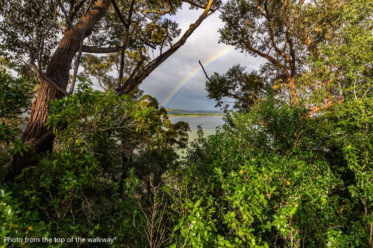 39h Cape Horn Road Mount Roskill_9