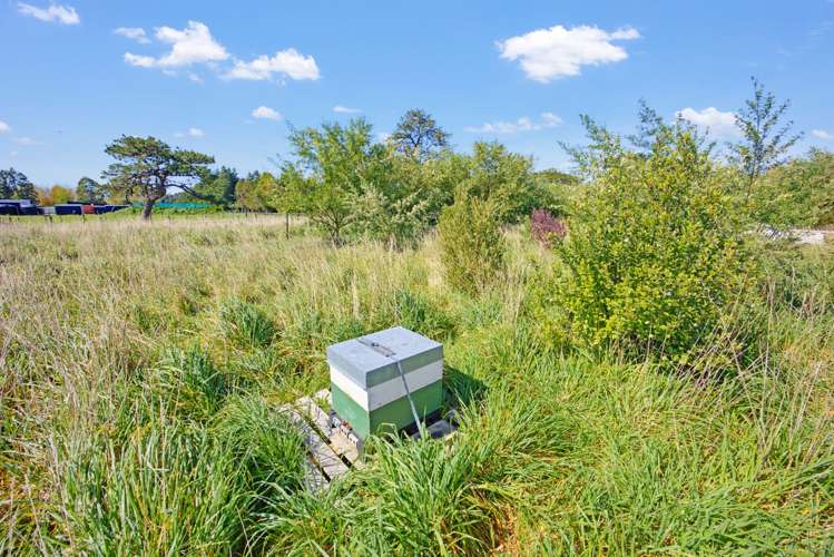 79 Longwood East Road Featherston_22