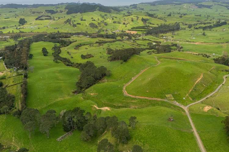 Lot 2/471 Purangi Road_2